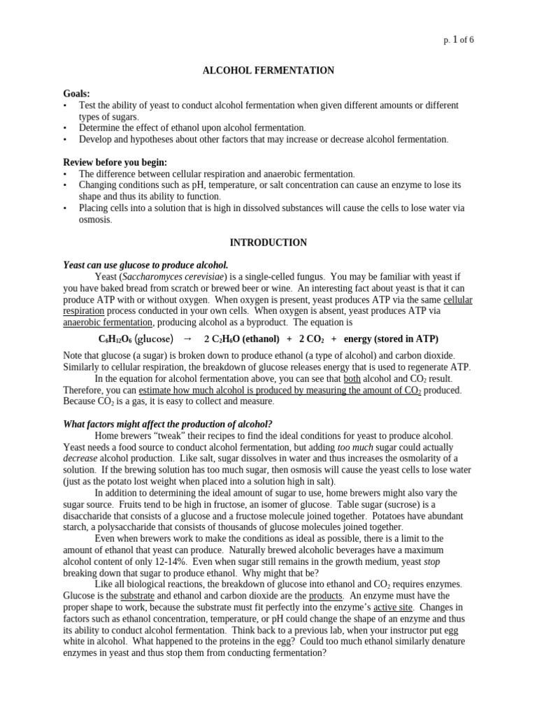 100 - Alcohol Fermentation (Combined) | PDF | Fructose | Glucose