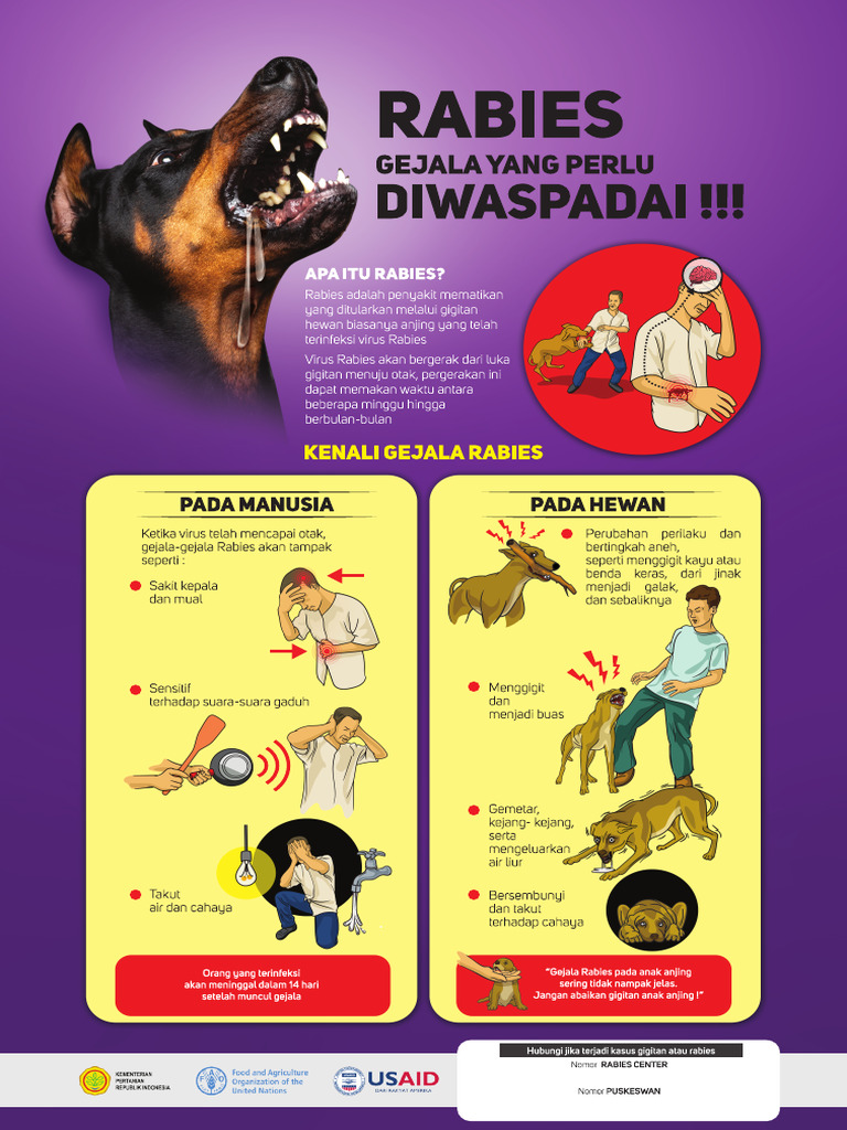Poster Tentang Gejala Rabies_Juni 2023 | PDF