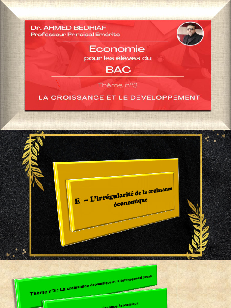 5 - ++++ L'Irrégularité de La Croissance. Annoté | PDF | Croissance ...