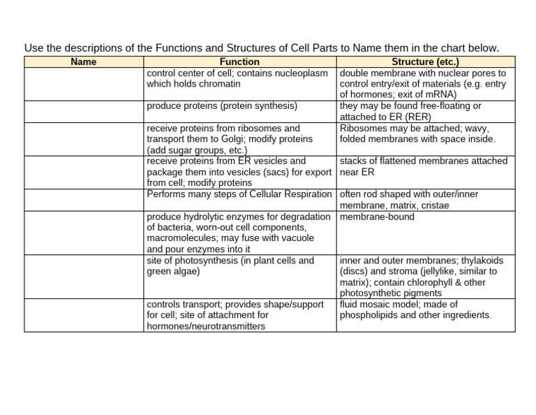 Organelles Structure and Function Chart | PDF