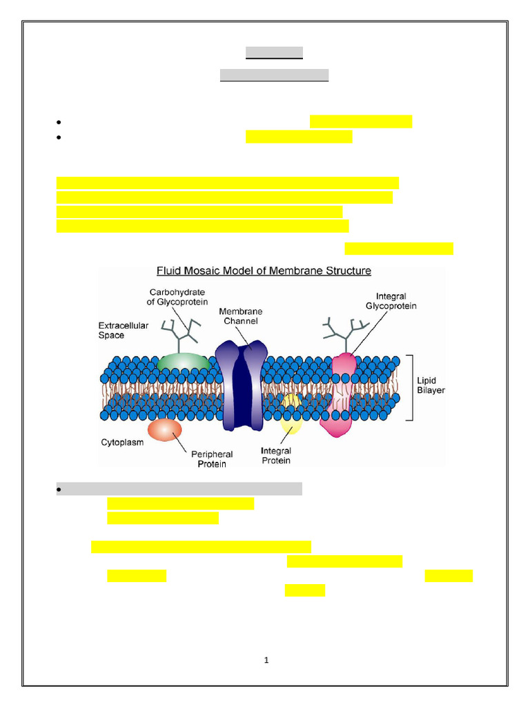 ch 3 | PDF | Cell Membrane | Biological Membrane