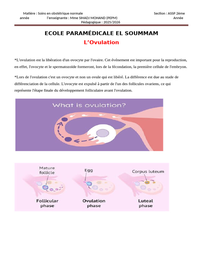 Ovulation Fécondation Nidation | PDF