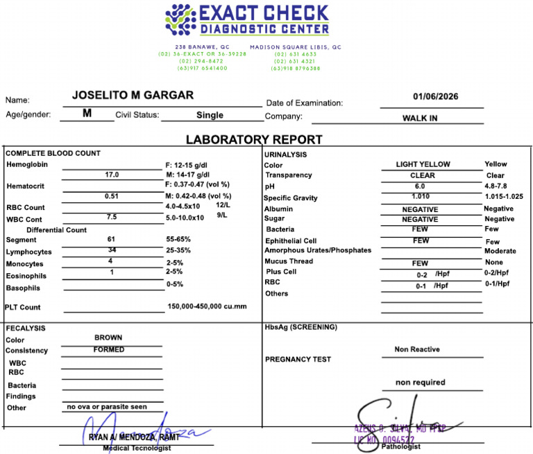 Lab Report Ni Client | PDF