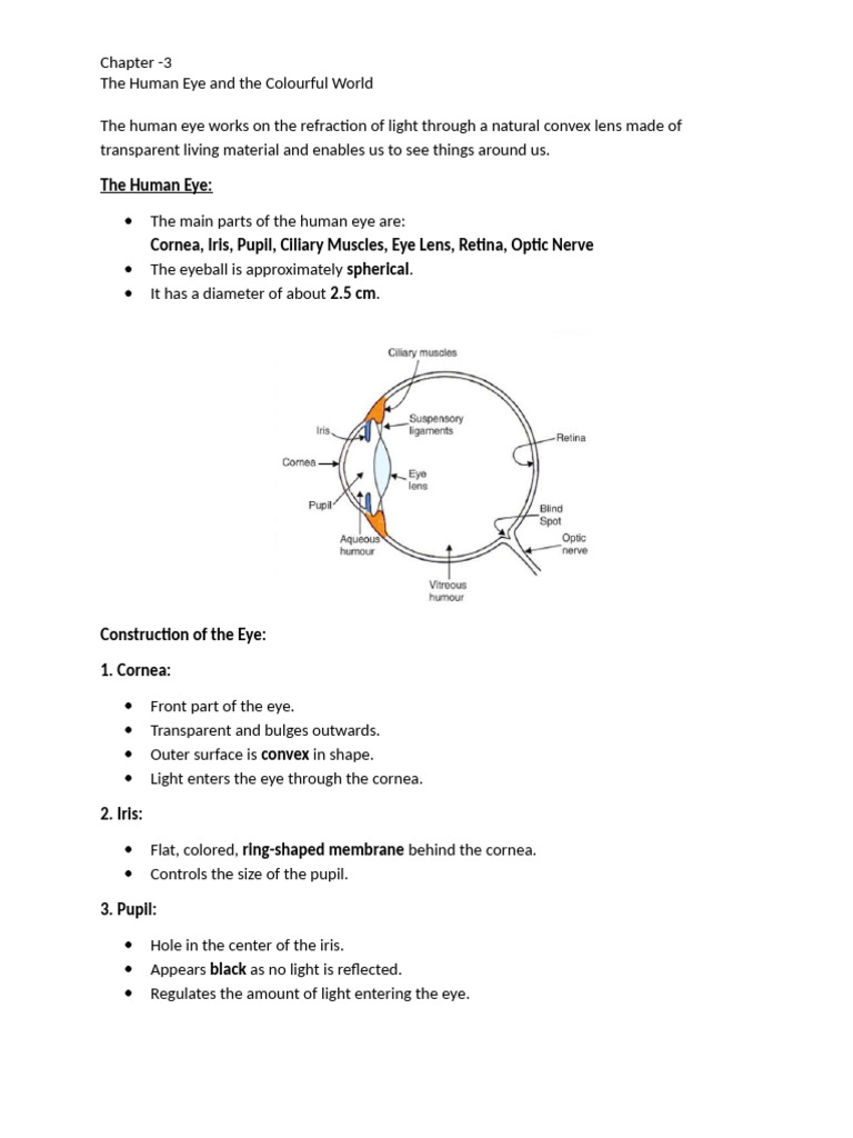 The Human Eye and Colourful World | PDF | Eye | Myopia