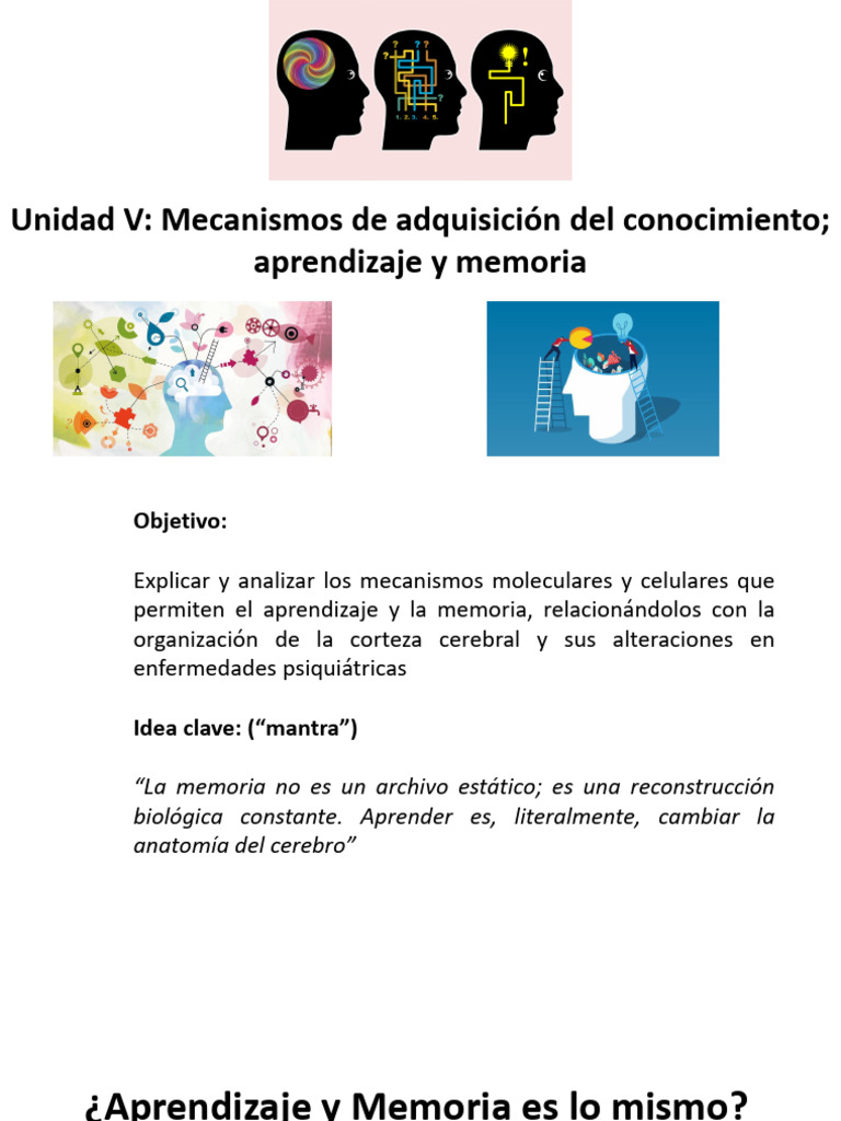 Aprendizaje y Memoria | PDF