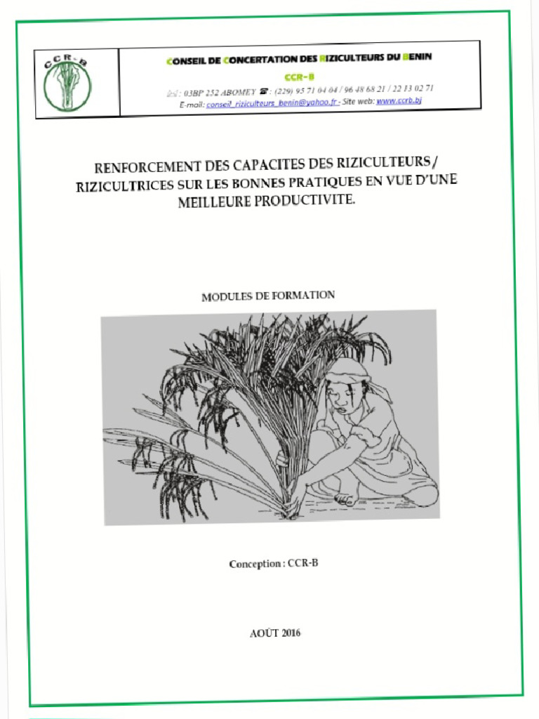 La Production Du Riz PDF | PDF