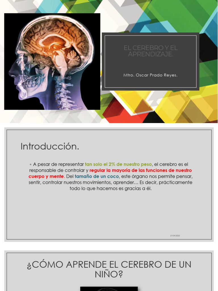 El Cerebro y El Aprendizaje | PDF | Cerebro | Aprendizaje