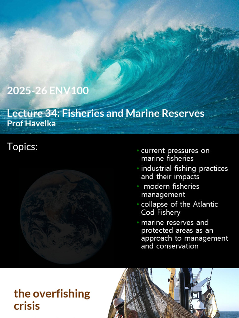 2025-26 ENV100 Lect 34 Fisheries and Marine Reserves | PDF ...