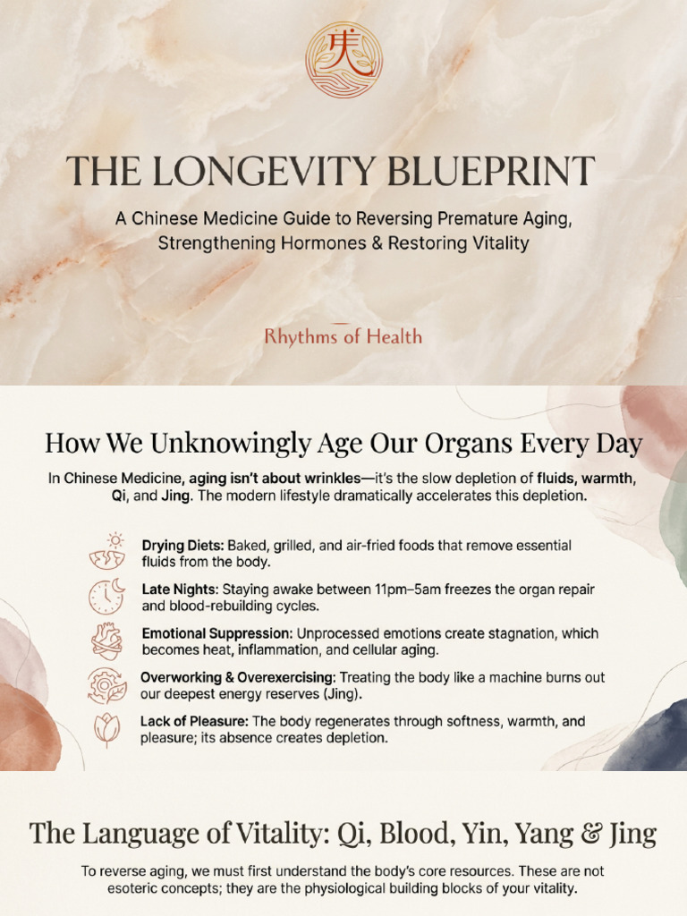 Thelongevityblueprint | PDF