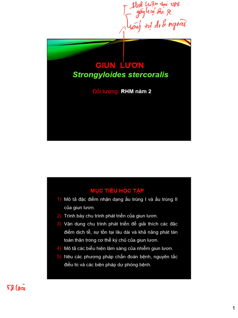 RHM - B5 001 | PDF
