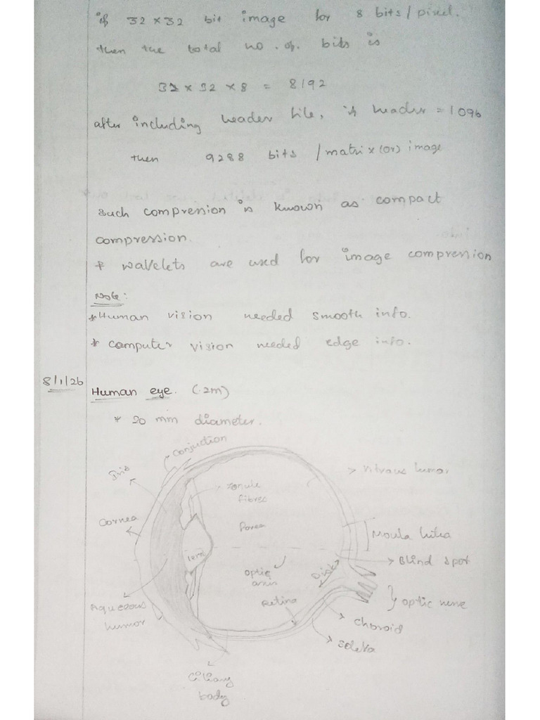 IP Notes | PDF