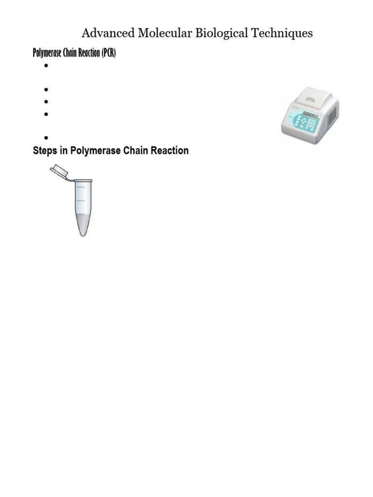 D1.1-2 PCR and Gel Electrophoresis | PDF | Polymerase Chain Reaction ...