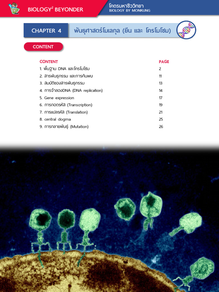 Bio m.4 Molecular Genetics Sum | PDF