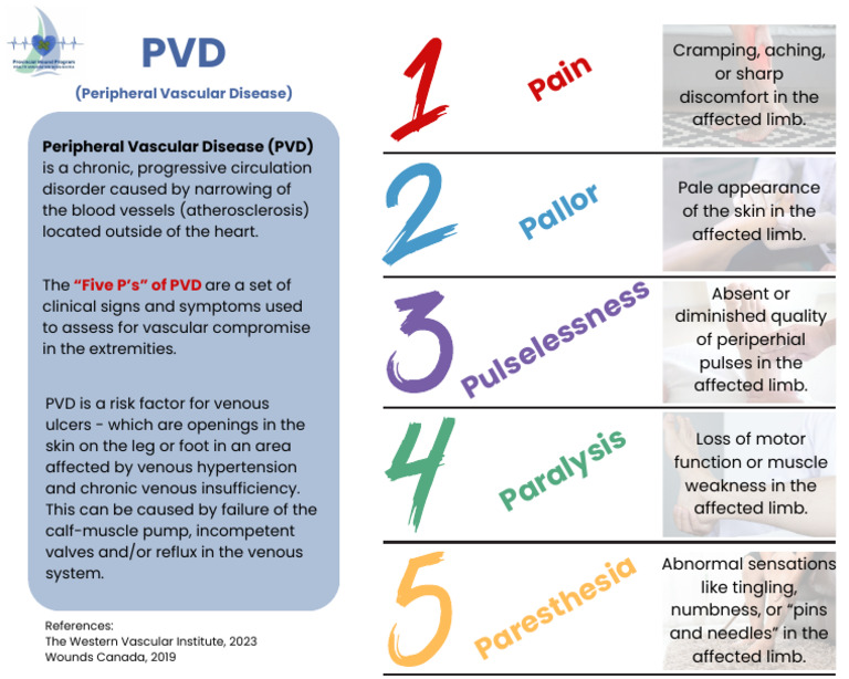 PVD Poster Jan 2025 M.G | PDF
