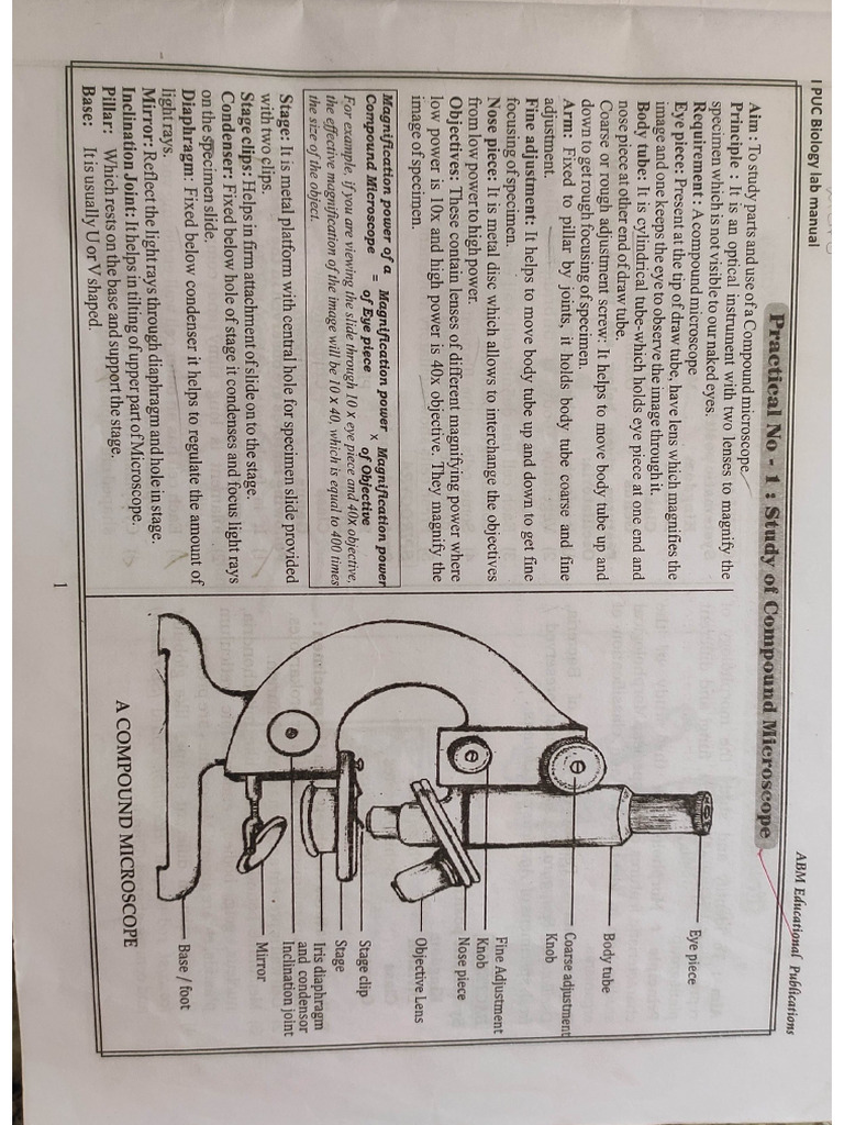 1st PU Bio Lab Manual | PDF