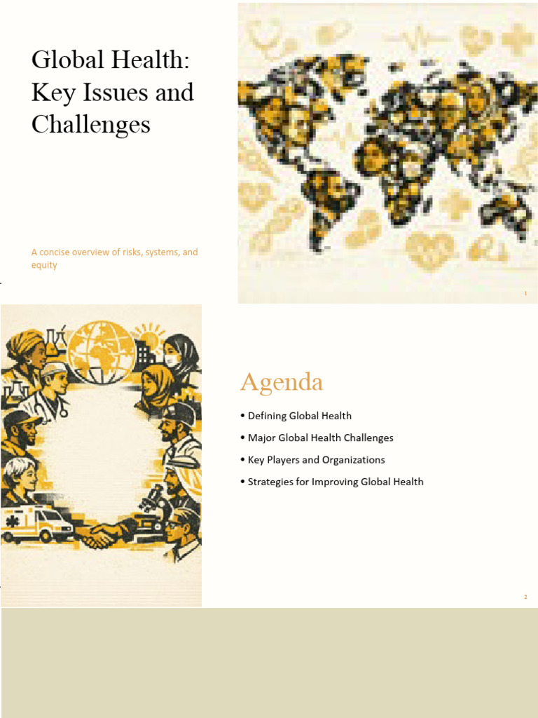 Global Health | PDF | Global Health | Health Equity