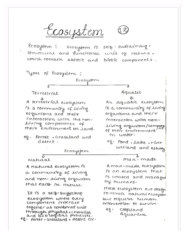 Ecosystem | PDF