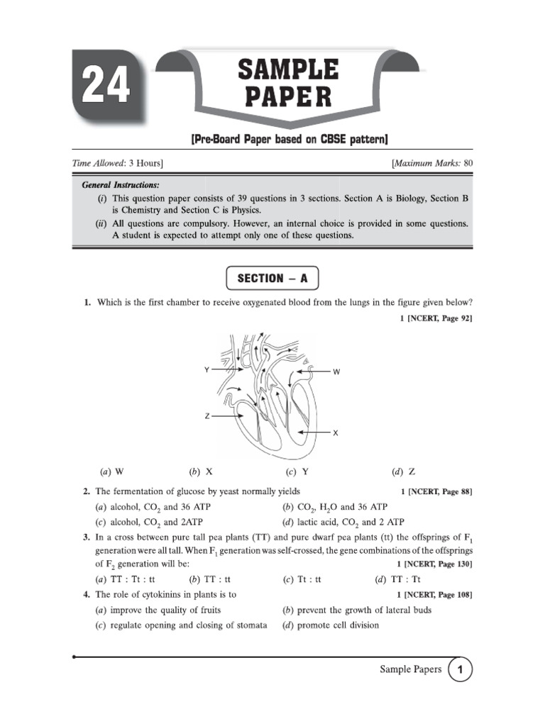 Sample Paper 24 Science 10th | PDF