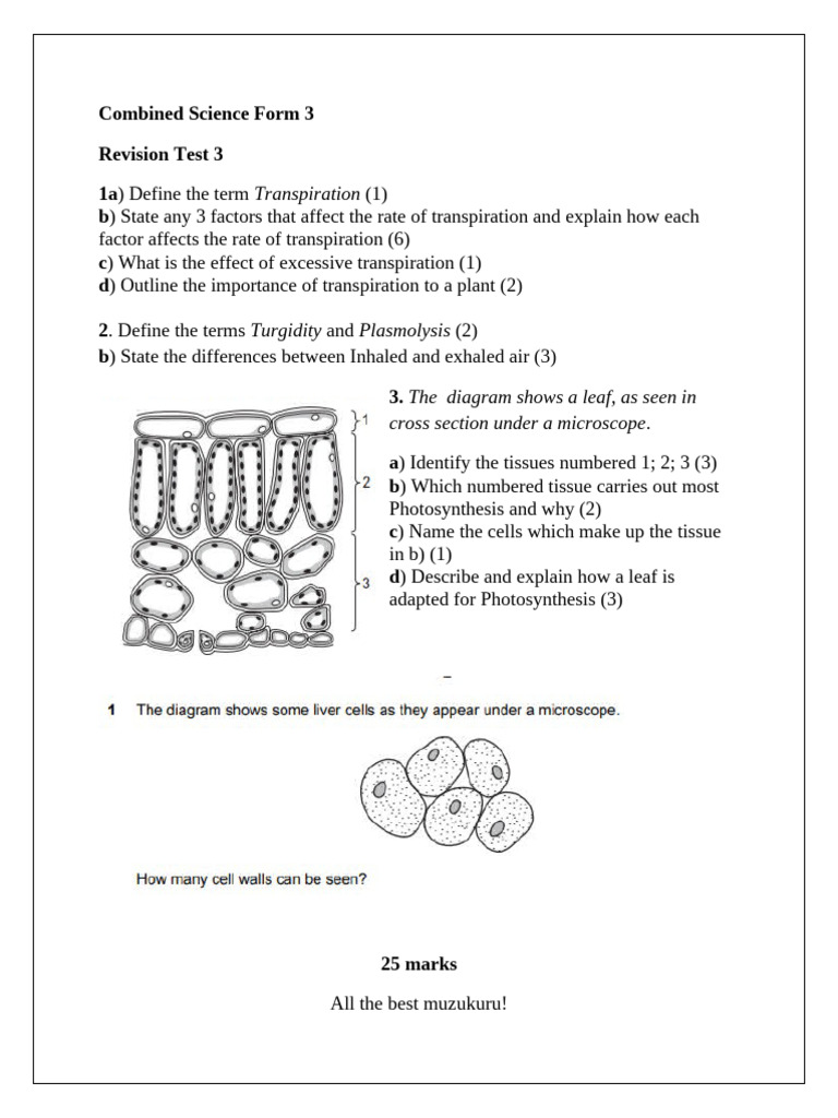 Combined Science Form 3 Revision Test 3 | PDF