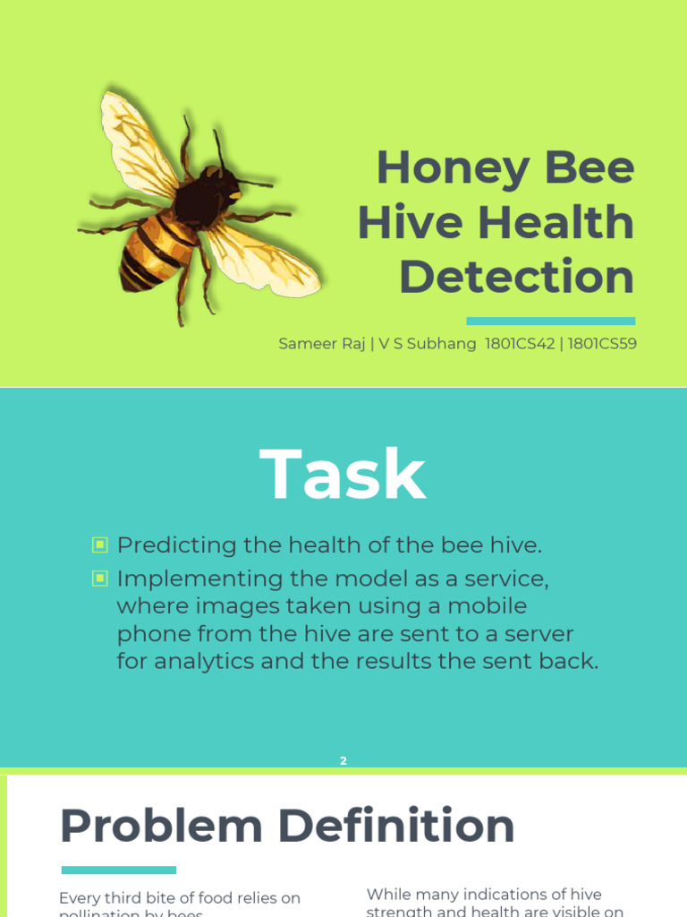 (PDF) Innovation Lab Report | PDF | Bees | Beehive