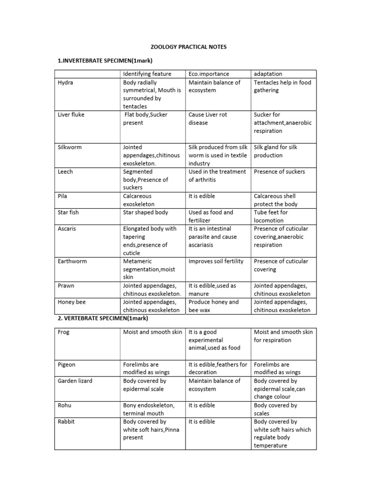 Zoology Practical Note | PDF | Heart | Ear