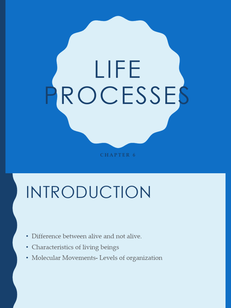CH 6 Life Processes - A.N, H.N, RS | PDF | Digestion | Photosynthesis