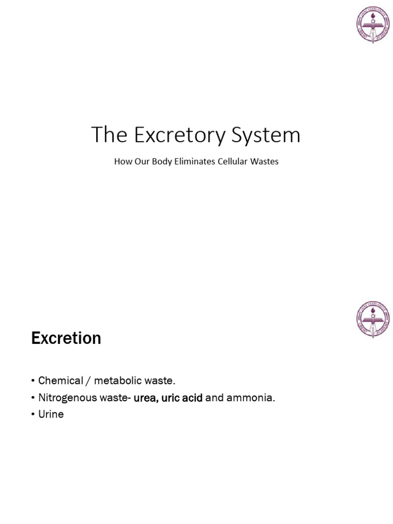 Ch 6 Life Processes ES | PDF