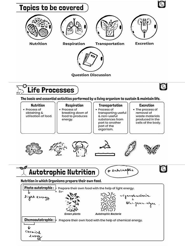 Life Processe Printable Notes | PDF