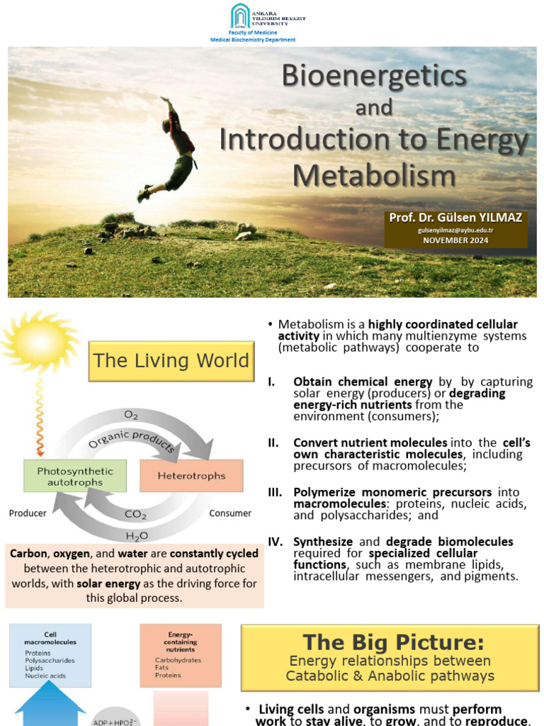 1 - Bioenergetics and Introduction To Energy Metabolism | PDF ...