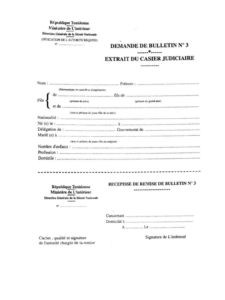 Casier Judiciaire Bn3 | PDF