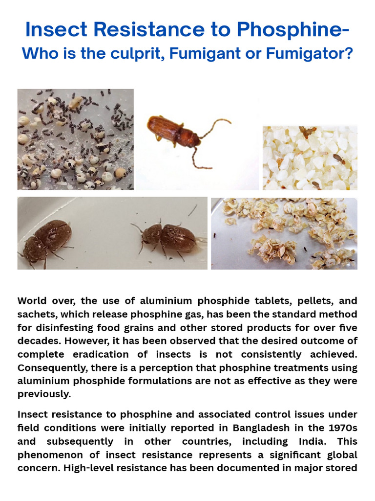 Insect_Resistance_to_Phosphine_Fumigant_1754492728 | PDF