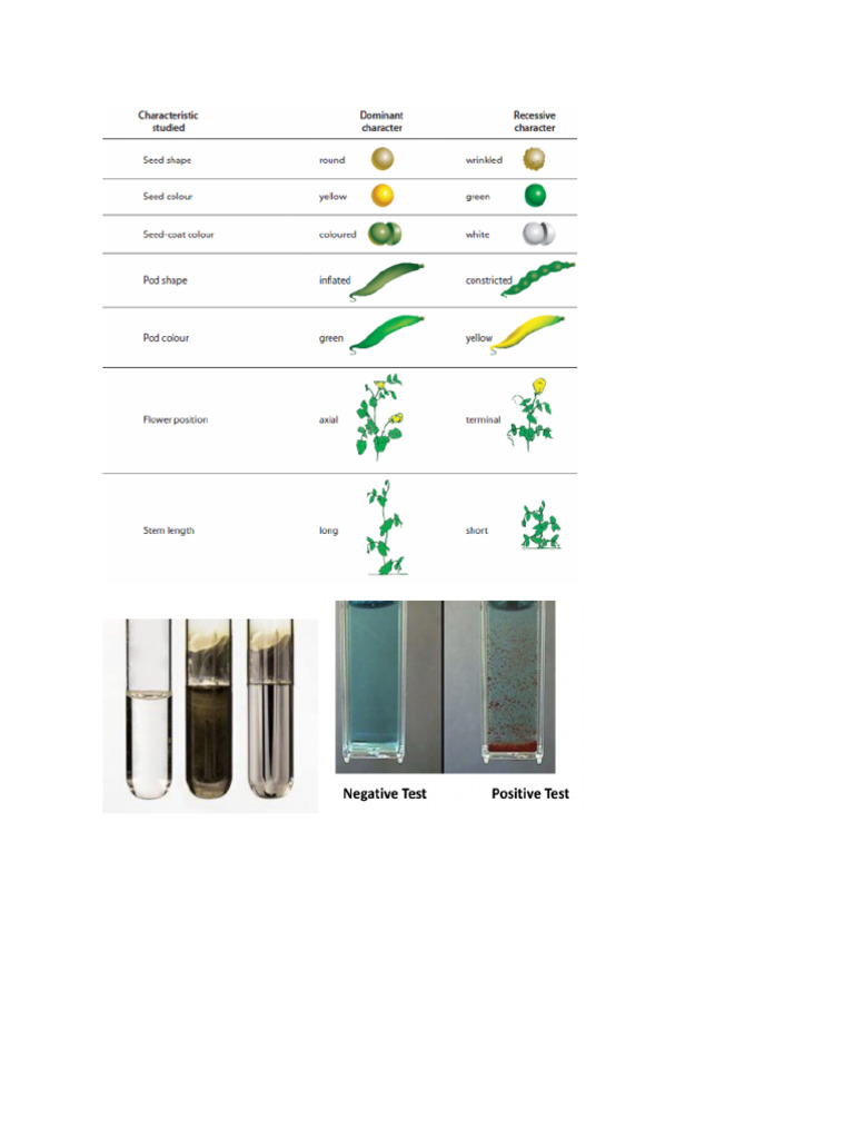 _print for Lab | PDF