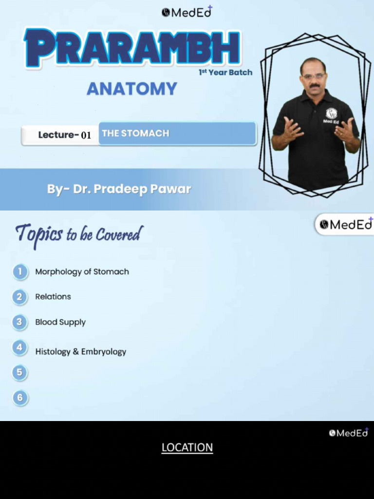 Stomuch | PDF