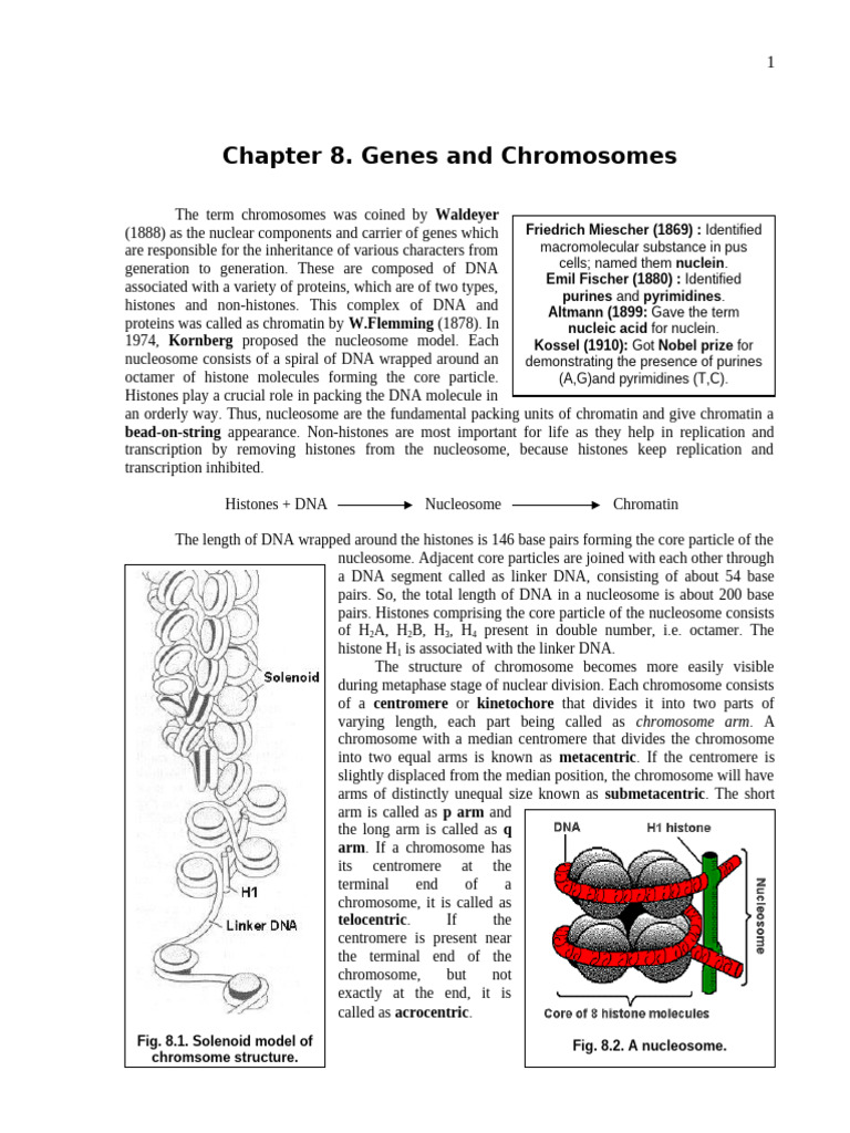 8.Genes and Chromosomes | PDF | Rna | Nucleotides
