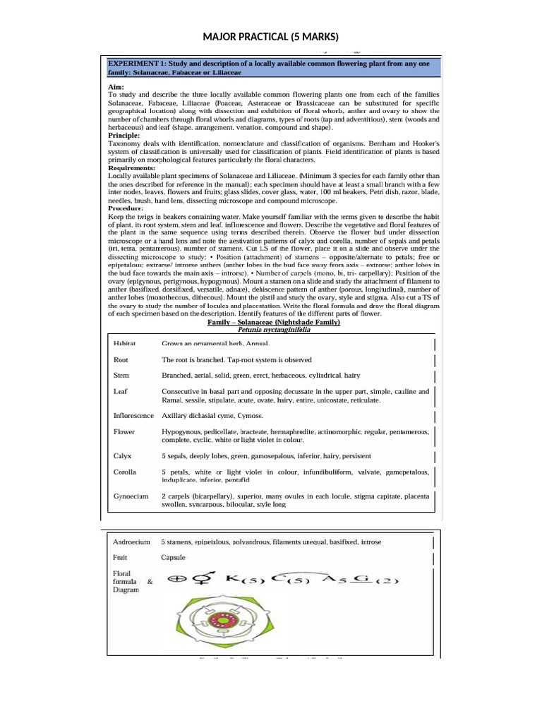 Xi Practical for Class Practice | PDF