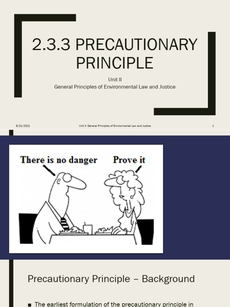 2.3.3 Precautionary Principle | PDF | Environmental Law | Biodiversity