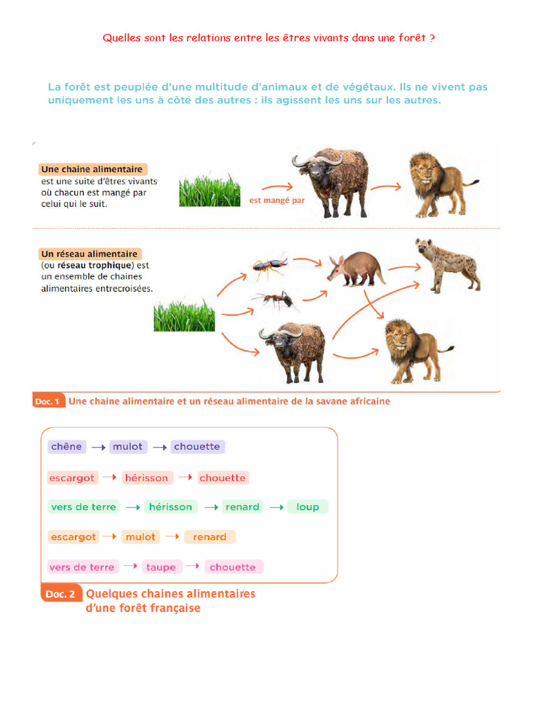 les-relations-entre-les-e-vivants-foret-corr-pdf