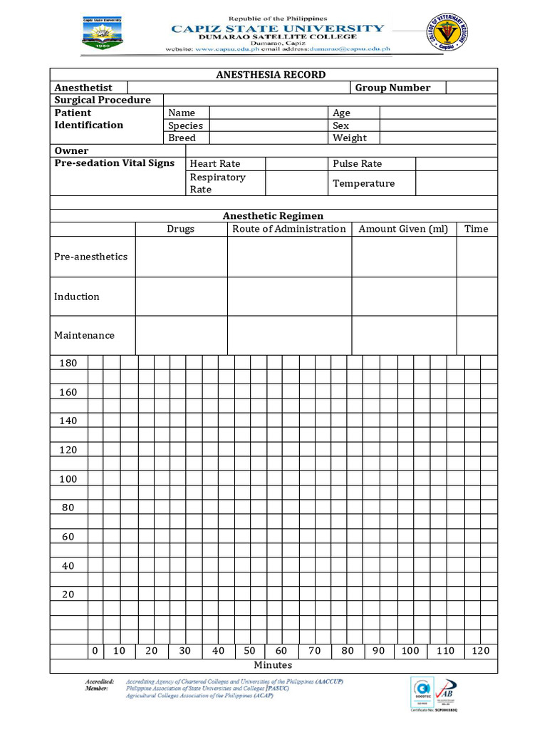 ANESTHETIST Anesthesia Record | PDF