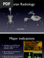 Radiographic Techniques for Sea Turtles | PDF | Radiography | Medical ...