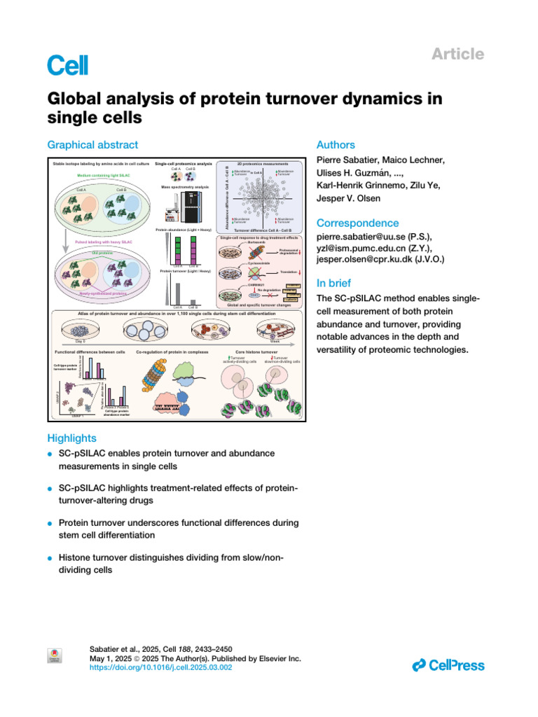 Global Analysis of Protein Turnover Dynamics in Single Cells | PDF ...