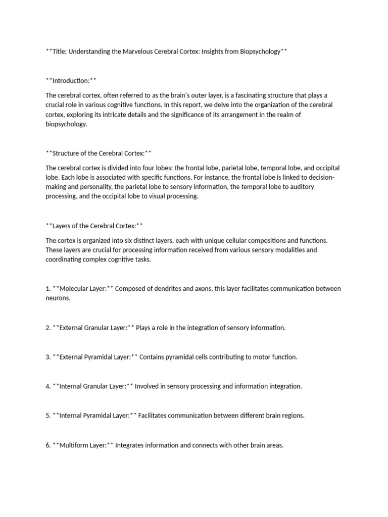 Bp Report | PDF | Cerebral Cortex | Temporal Lobe
