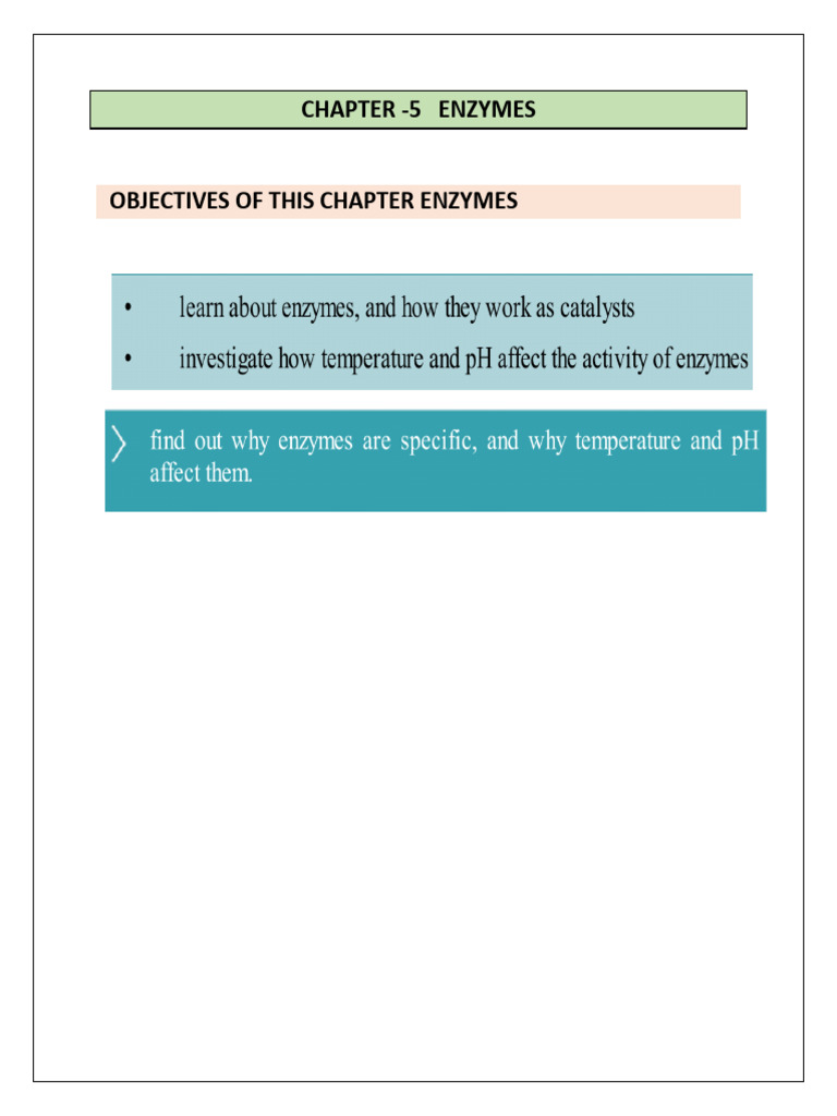 IGCSE Chapter 5 ENZYMES Hand Written Notes | PDF | Enzyme | Active Site