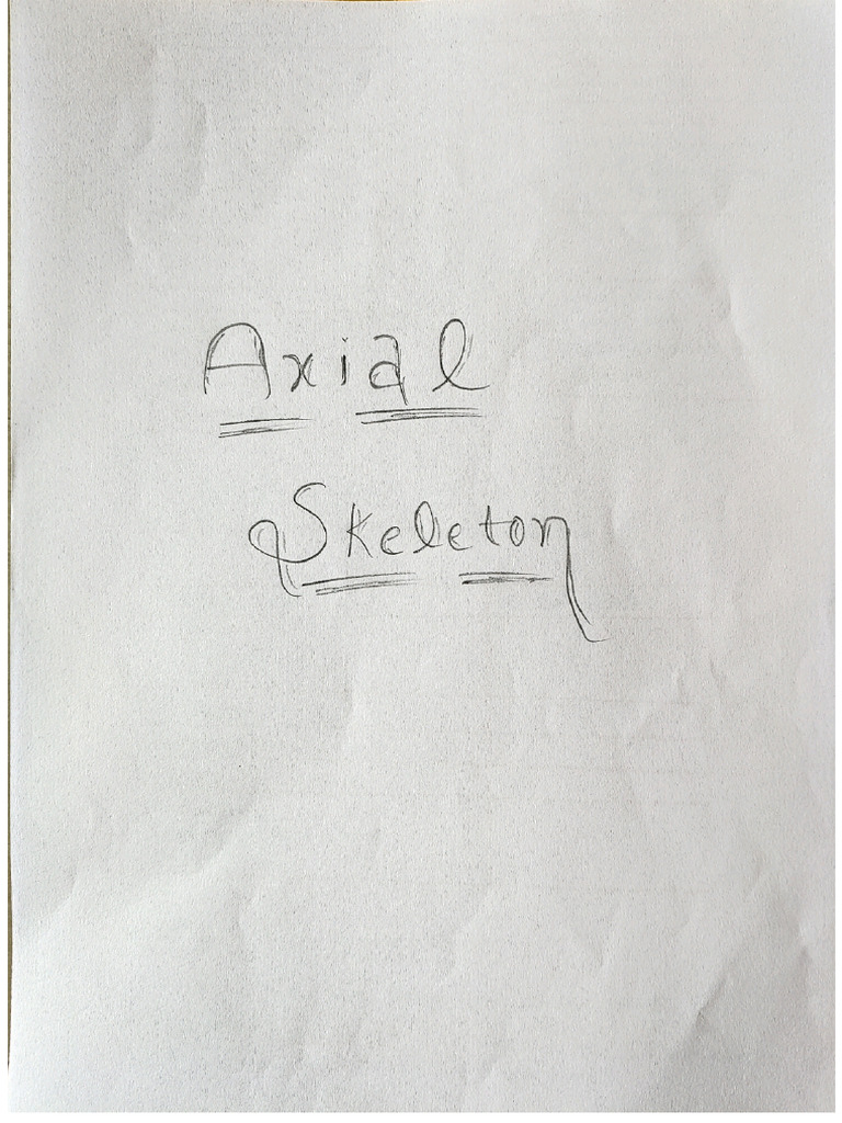 Axial Skeleton | PDF
