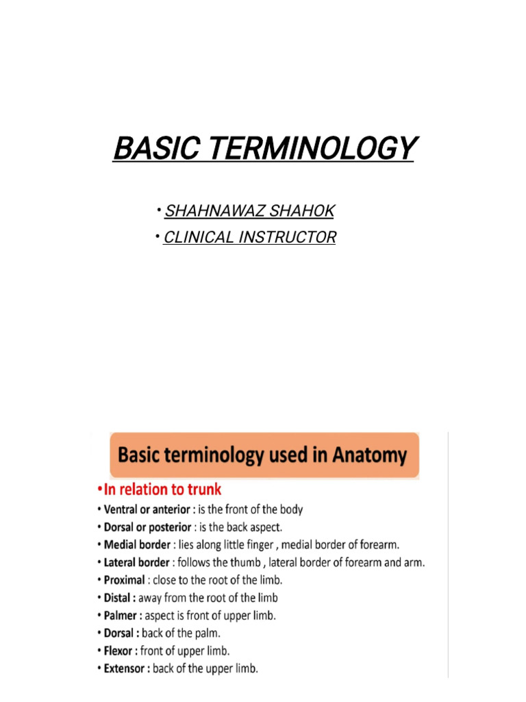 Basic Terminology | PDF