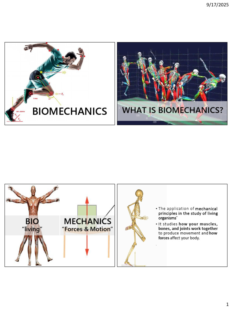 Lecture 3- Biomechanics | PDF | Anatomical Terms Of Motion | Biomechanics