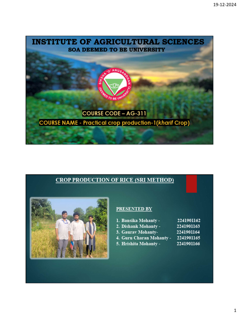 AG 311 Presentation Rice-1 | PDF | Rice | Manure