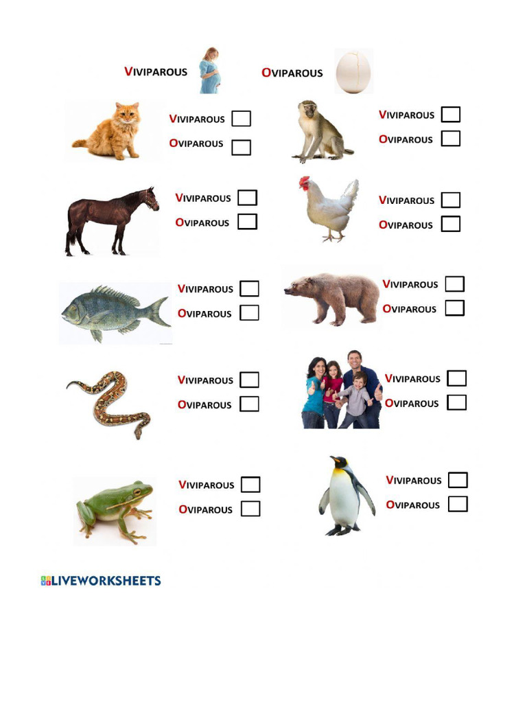 Worksheet 115876 | PDF