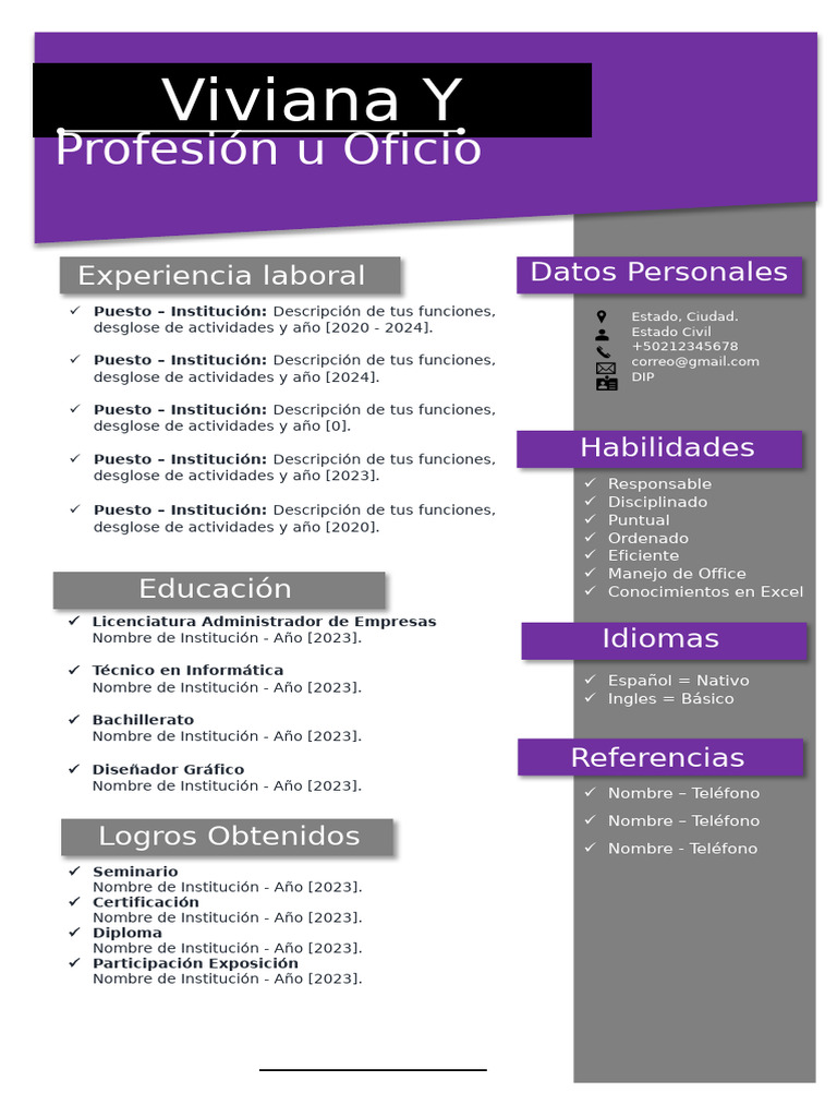 Modelo de CV 2024 | PDF