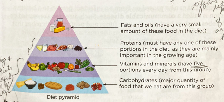 Food Pyramid | PDF
