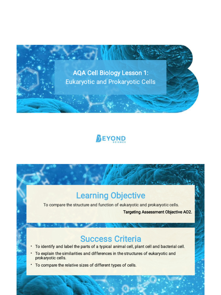 Eukaryotic & Prokaryotic Cell, Cell Biology - Compressed | PDF | Cell ...